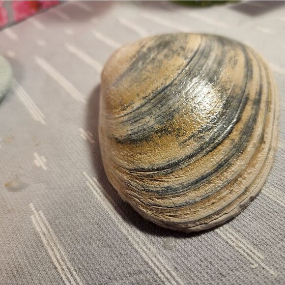 DECOUPAGE CLAM SHELL DECOUPAGE FLOWERS TRINKET DISH - Picture 11 of 11